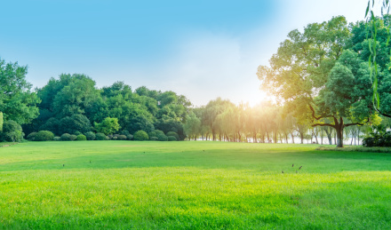 蓝天草地绿树林背景素材