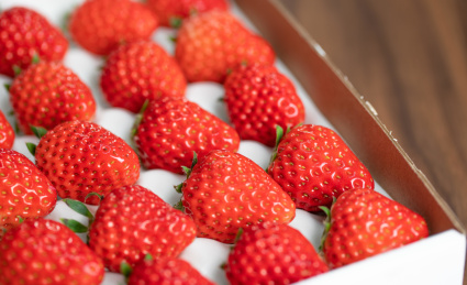 有序规则排列在盒子中的草莓