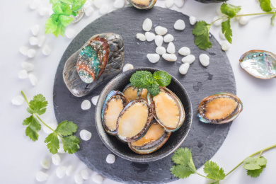 新鲜的贝类食材鲍鱼