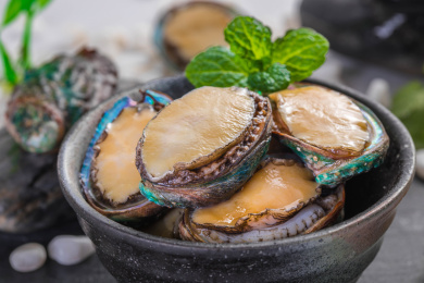 新鲜的贝类食材鲍鱼