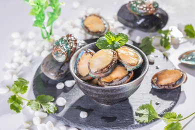 新鲜的贝类食材鲍鱼