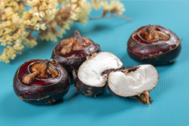 保健蔬菜水果荸荠马蹄摆放在桌面上