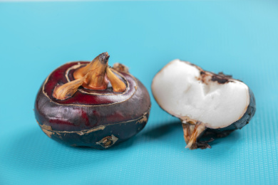 保健蔬菜水果荸荠马蹄摆放在桌面上