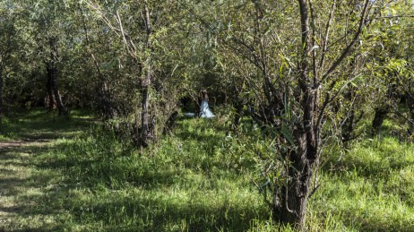 云南大理海东湿地公园小树林中的少女背影
