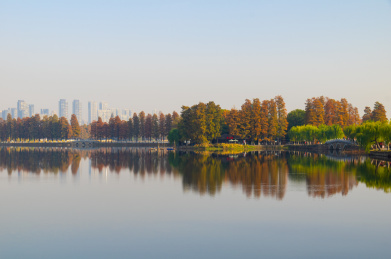湖北武汉东湖听涛风景区深秋风光