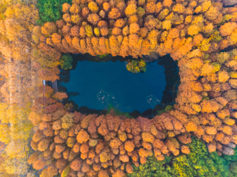湖北武汉东湖听涛风景区深秋航拍风光