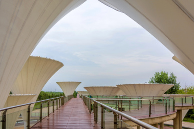 中国山东省东营市东营文化公园