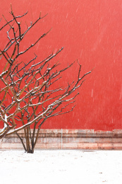 中国北京白天雪中的故宫建筑