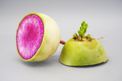 放在桌子上切开的花心萝卜