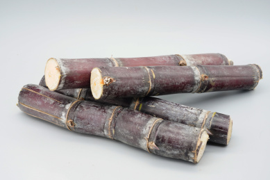 新鲜水果红色甘蔗