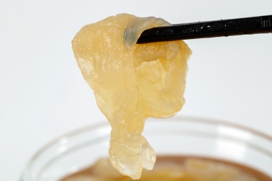 白色背景上营养美味的海蜇