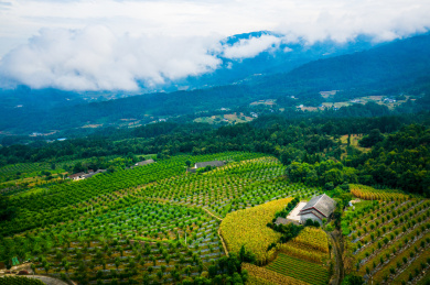 湖北高山乡村田野自然风光