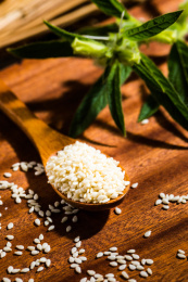 装在木勺里的白芝麻