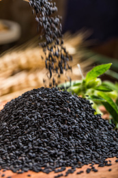 正在下落碟黑芝麻