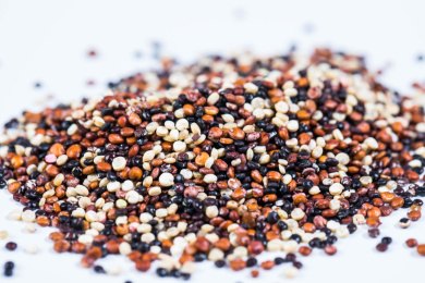 五谷杂粮三色藜麦