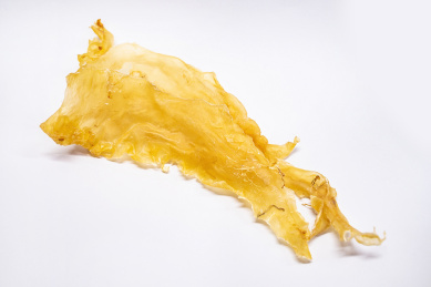 传统养生滋补食品花胶鱼胶,白背景上的鳕鱼胶 