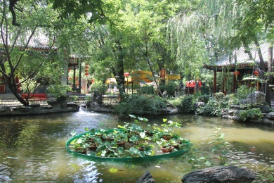 北京市海淀区白家大院花园