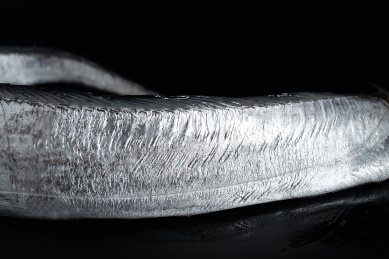 黑色背景上一条新鲜的带鱼