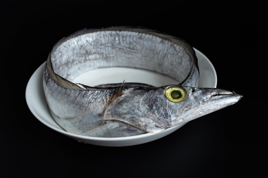 黑色背景上一条新鲜的带鱼