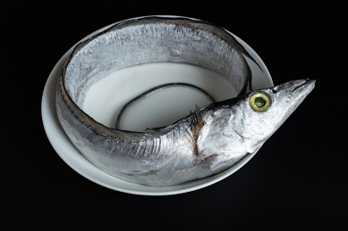 黑色背景上一条新鲜的带鱼