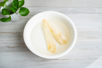传统养生滋补食品花胶,水中泡发的鳘鱼胶  