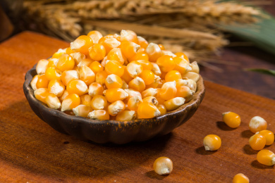 五谷粗粮玉米粒