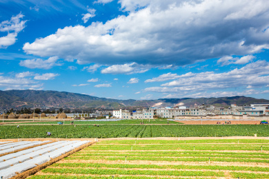 春天里的中国云南省昆明市乡下农村田园风光