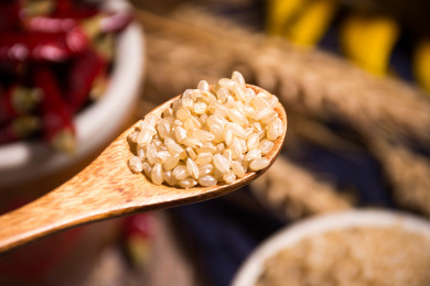 手拿着装有粮食糙米的场景图