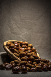 装在竹制筲箕里的一堆板栗