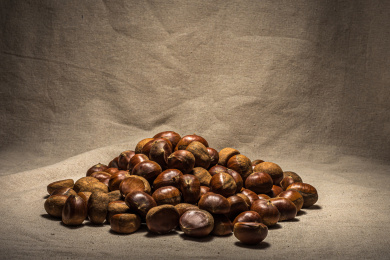 粗布桌面上的一堆褐色板栗