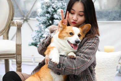 一名美女抱着一只柯基宠物小狗玩耍