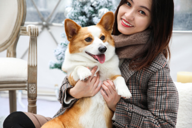 一名美女抱着一只柯基宠物小狗玩耍