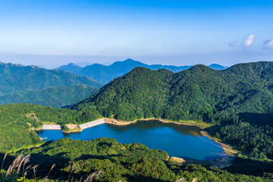 亚热带原始森林山林航拍_站酷海洛_正版图片_视频_字