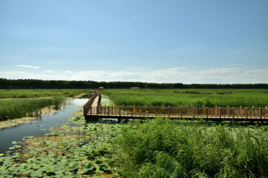 河北省保定市安新县白洋淀十里长廊