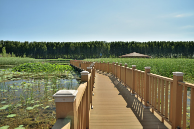 河北省保定市安新县白洋淀十里长廊