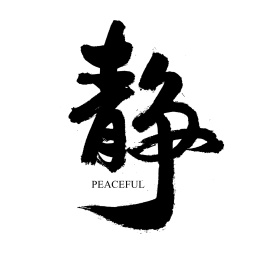 静汉字手写书法字体字形中国风