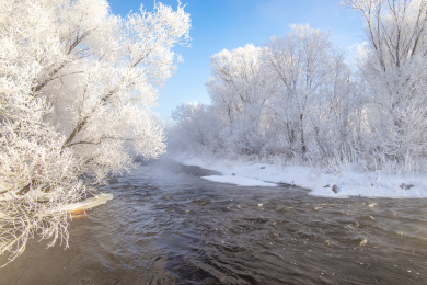 中国黑龙江伊春库尔滨冬季雾凇自然景观