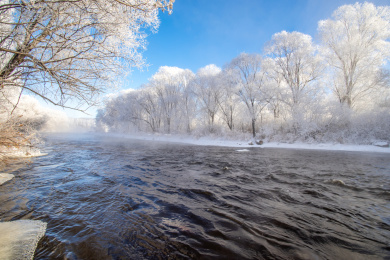 中国黑龙江伊春库尔滨冬季雾凇自然景观