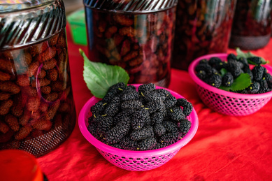 新鲜采摘的桑果和桑果泡制的酒