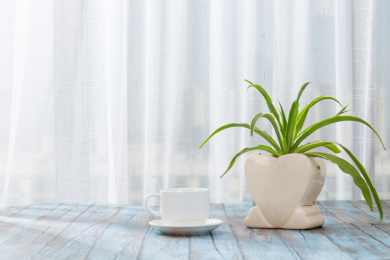 窗帘前桌上摆放的茶杯和一瓶吊兰