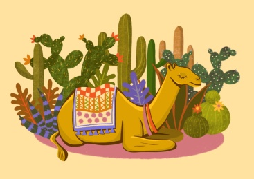 沙漠中的骆驼和仙人掌