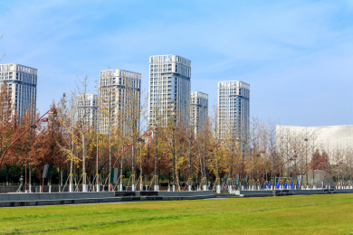 绿地树林后的城市建筑群风光，中国江苏省南京市