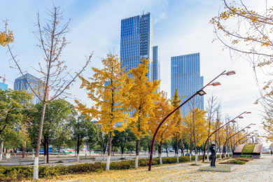 城市建筑群秋季风光，中国江苏省南京市