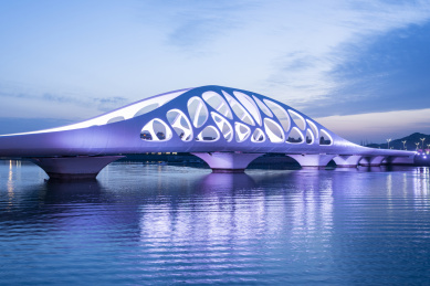 傍晚时刻亮起五彩斑斓灯光的青岛珊瑚贝壳桥