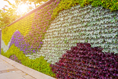 鲜花绿叶植物背景墙