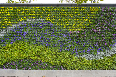 鲜花绿叶植物背景墙