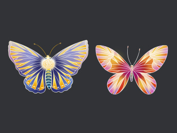 手绘的彩色蝴蝶插画元素组合