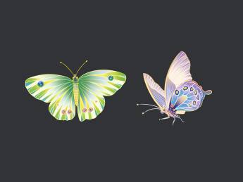 手绘的彩色蝴蝶插画元素组合