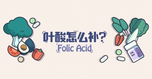 补充叶酸的食物叶酸怎么补