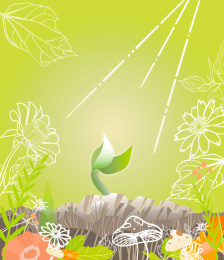 春天万物生长种子发芽插画